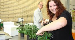 Meting afweereiwitten biedt meeste zicht op plantweerbaarheid