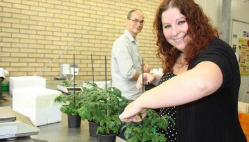 Meting afweereiwitten biedt meeste zicht op plantweerbaarheid