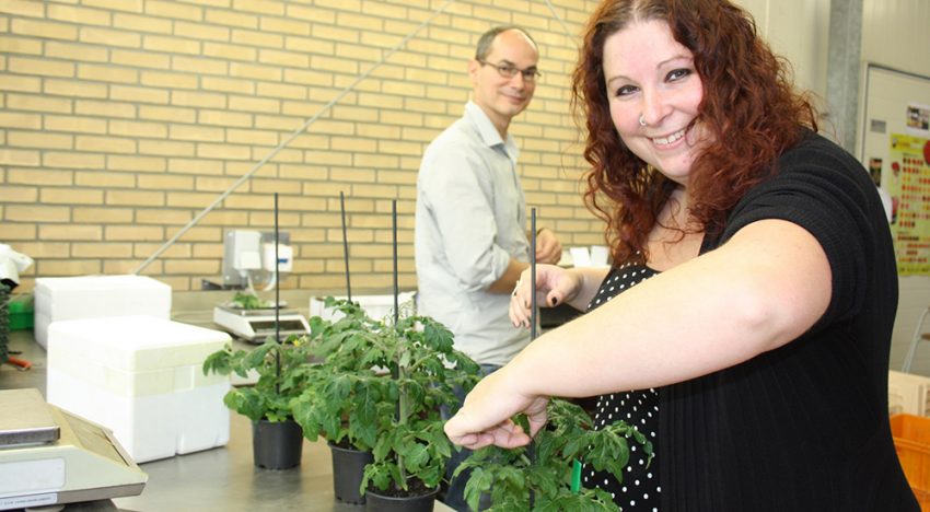 Meting afweereiwitten biedt meeste zicht op plantweerbaarheid