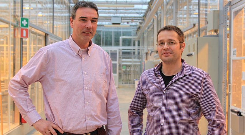 Huidmondjes doorslaggevend voor CO2-benutting van de plant