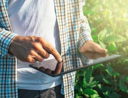 Berenschot onderzoekt kansen internet of things en big data in de tuinbouw