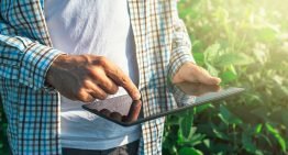 DaVinc3i organiseert bijeenkomst over IoT-toepassingen in sierteelt