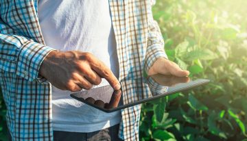 DaVinc3i organiseert bijeenkomst over IoT-toepassingen in sierteelt