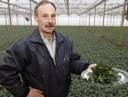 ‘Het product verrast ons na twintig jaar nog steeds’