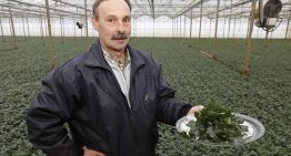 ‘Het product verrast ons na twintig jaar nog steeds’