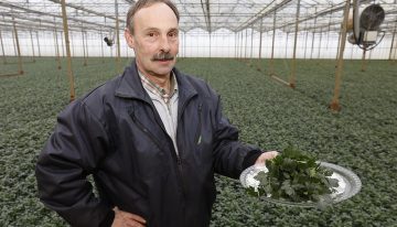 ‘Het product verrast ons na twintig jaar nog steeds’