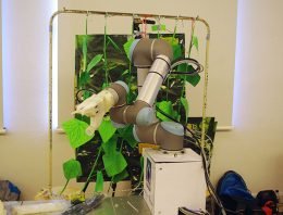 Studenten TU Delft bouwen prototype komkommerpluk-robot