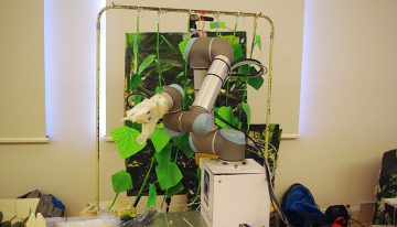 Studenten TU Delft bouwen prototype komkommerpluk-robot