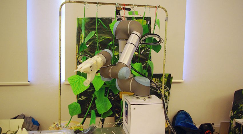 Studenten TU Delft bouwen prototype komkommerpluk-robot