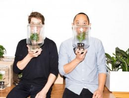 Hoe zorgen bloemen en planten voor gelukkiger leven in de stad?