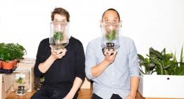Hoe zorgen bloemen en planten voor gelukkiger leven in de stad?