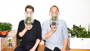 Hoe zorgen bloemen en planten voor gelukkiger leven in de stad?