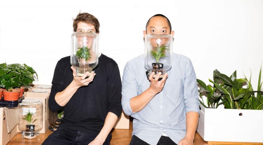 Hoe zorgen bloemen en planten voor gelukkiger leven in de stad?