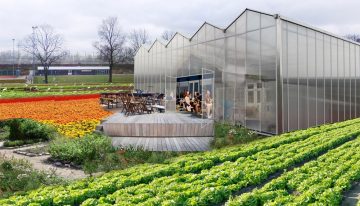 Amsterdam lanceert platform voor stadslandbouw en voedsel