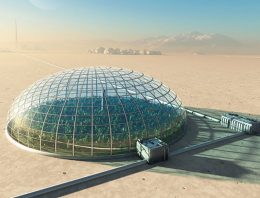 ‘Pratende planten’ helpen bij onderzoek naar teelt op Mars