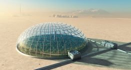 ‘Pratende planten’ helpen bij onderzoek naar teelt op Mars