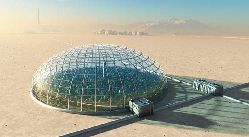 ‘Pratende planten’ helpen bij onderzoek naar teelt op Mars