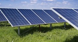 Gebruik zonne-energie onder tuinders stijgt