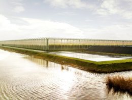 Glastuinbouw in West-Nederland krijgt efficiëntere controles