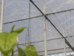 Verschuiving van energiebesparing naar beperken van uitstraling