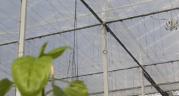 Verschuiving van energiebesparing naar beperken van uitstraling