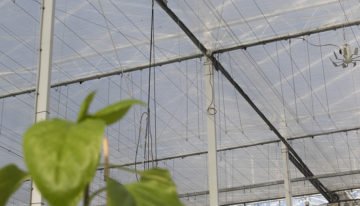Verschuiving van energiebesparing naar beperken van uitstraling