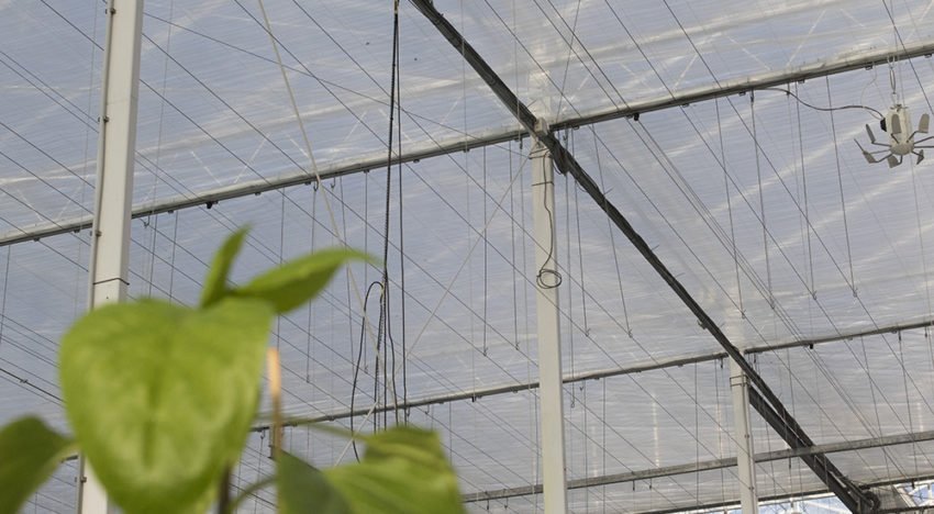Verschuiving van energiebesparing naar beperken van uitstraling