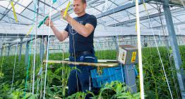 ‘Meer fouten met te weinig, dan met te veel temperatuur’