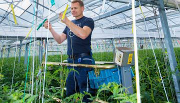 ‘Meer fouten met te weinig, dan met te veel temperatuur’