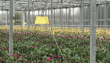 Zwavel verdampen vermindert noodzaak chemische correctie
