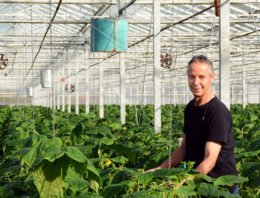 Langer profijt van vast AC-scherm met verticale ventilatoren