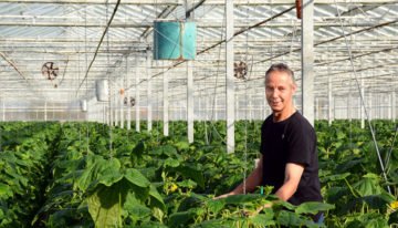 Langer profijt van vast AC-scherm met verticale ventilatoren