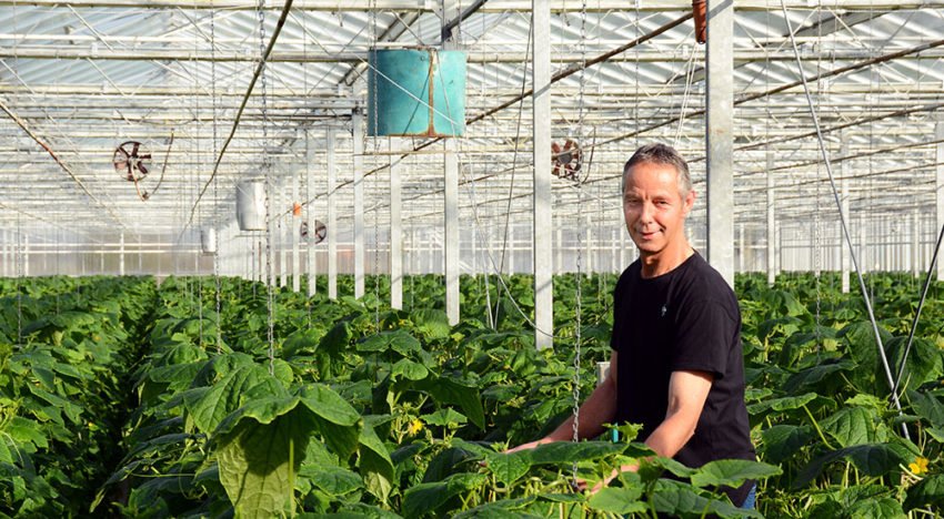 Langer profijt van vast AC-scherm met verticale ventilatoren Langer profijt van vast AC-scherm met verticale ventilatoren