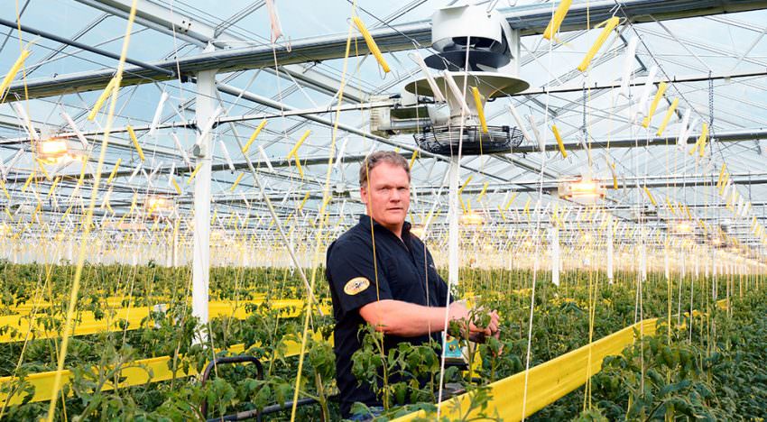 Egaler klimaat door combinatie van twee verticale ventilatoren