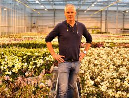 OK Plant gaat met triplescherm voor verdere kwaliteitsverbetering