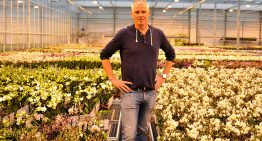 OK Plant gaat met triplescherm voor verdere kwaliteitsverbetering