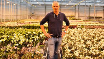 OK Plant gaat met triplescherm voor verdere kwaliteitsverbetering