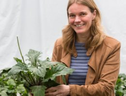 Nieuwe kennis moet leiden naar duurzame aanpak van meeldauw