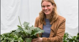 Nieuwe kennis moet leiden naar duurzame aanpak van meeldauw