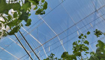 Meer licht via doorbraak in energiebesparende klimaatscherm