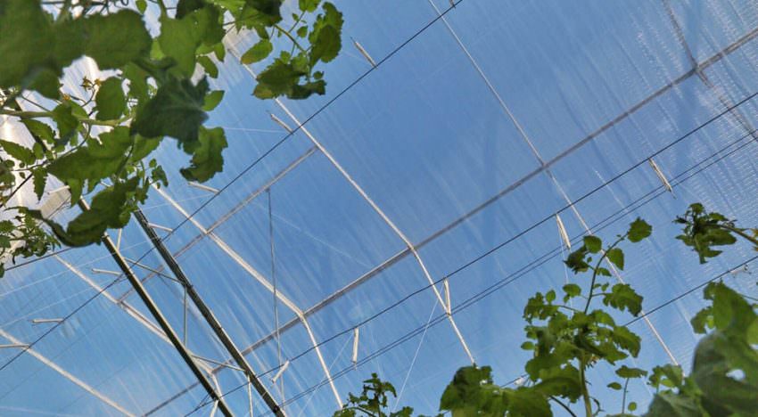 Meer licht via doorbraak in energiebesparende klimaatscherm