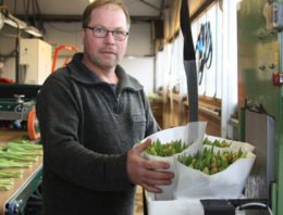 ‘We onderscheiden ons met inmiddels vier eigen Veronica-rassen’