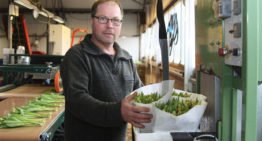 ‘We onderscheiden ons met inmiddels vier eigen Veronica-rassen’