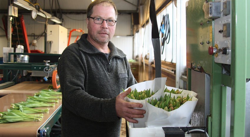 ‘We onderscheiden ons met inmiddels vier eigen Veronica-rassen’