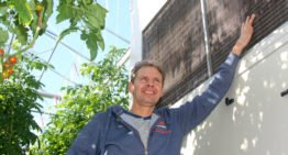 Vochtvreter geeft generatiever gewas, minder ziektedruk en energieverbruik