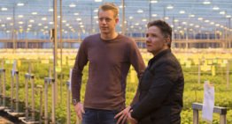 Balanceren tussen energie, uitstraling en vocht voor perfecte klimaat