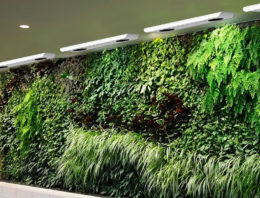Slim ventileren maakt groene wanden aantrekkelijker