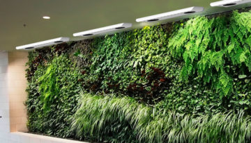 Slim ventileren maakt groene wanden aantrekkelijker