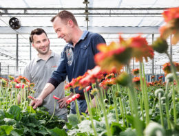 Ecologisch telen maakt chemisch ingrijpen minder vaak nodig