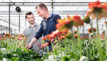 Ecologisch telen maakt chemisch ingrijpen minder vaak nodig